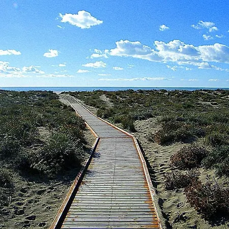 Apartamento With Terrace *