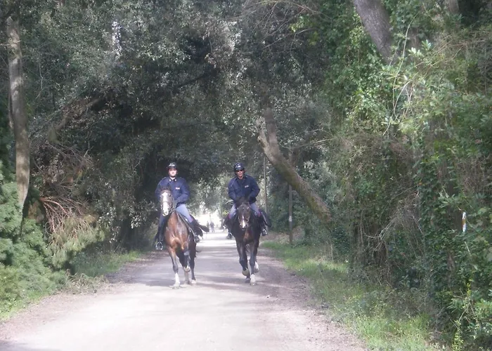 Apartment With Terrace
