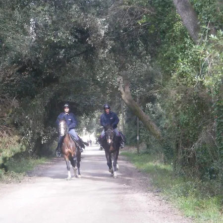 아파트 With Terrace